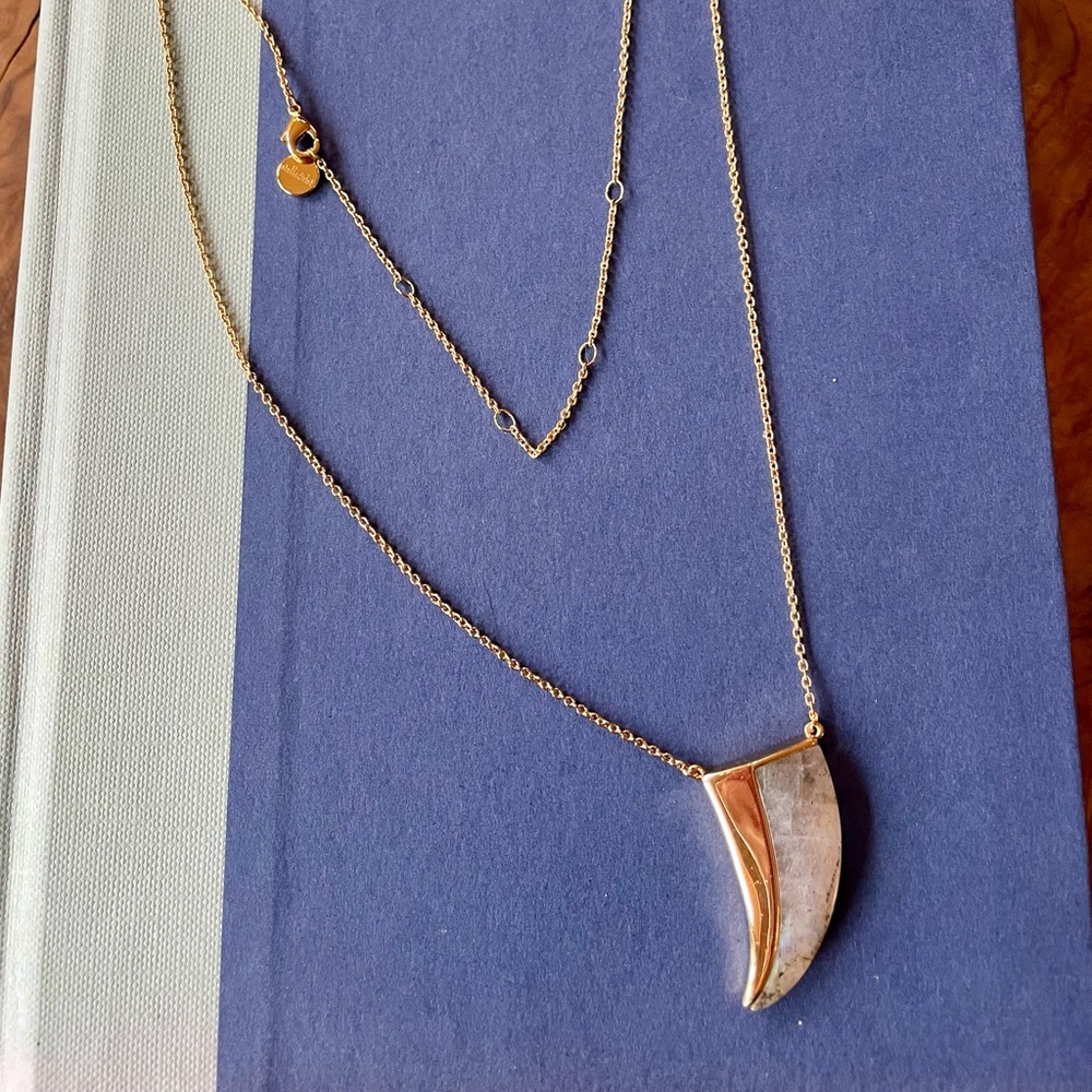 Split horn gold and stone necklace